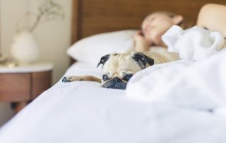 Mattress Firm files Chapter 11 bankruptcy
