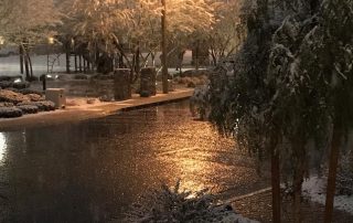 Snowfall in Las Vegas on February 20, 2019